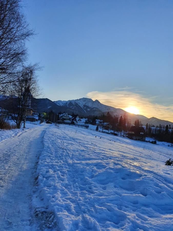 Podhalanskie Zacisze Zakopane Bagian luar foto